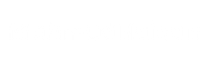 mahmud Wordpress Web Developer
