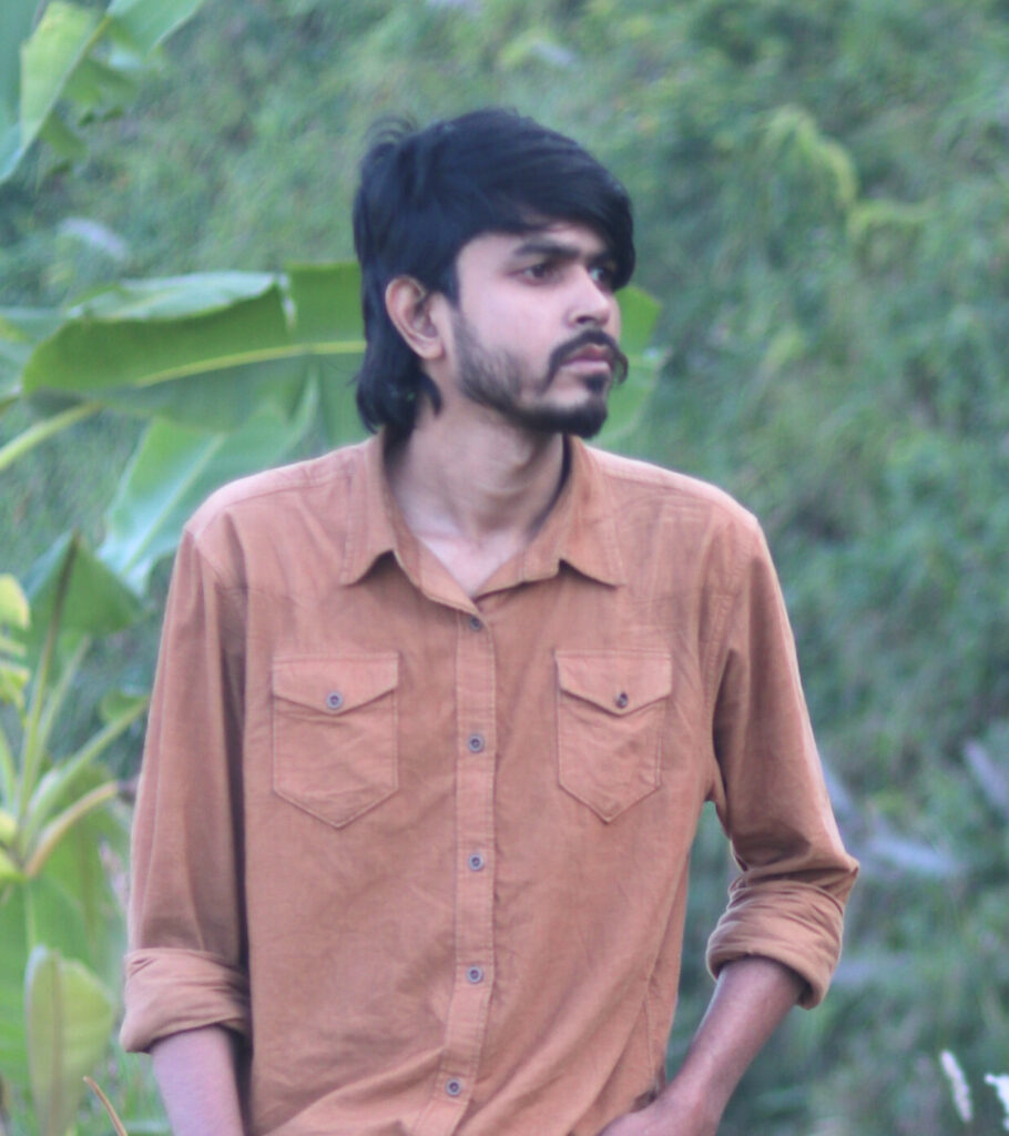 MahmudHaisan WordPress web developer portfolio image